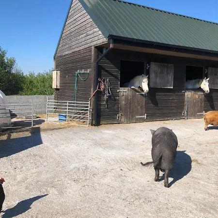 Farm House In Village Connemara