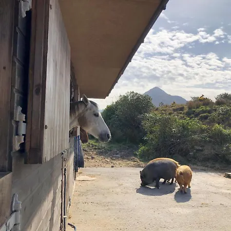 Farm House In Village Connemara 別荘