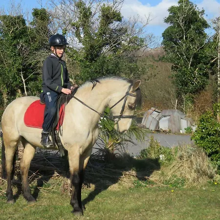 Farm House In Village Connemara *