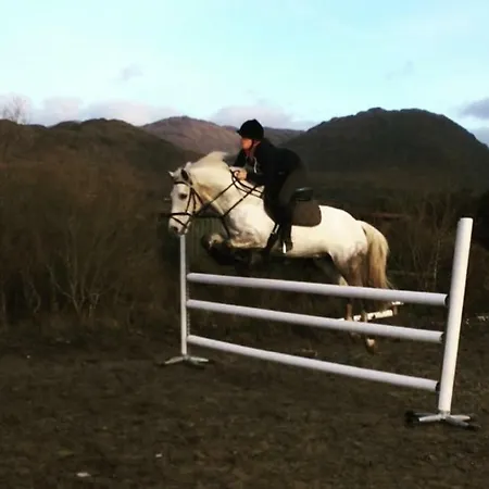 Farm House In Village Connemara レターフラック