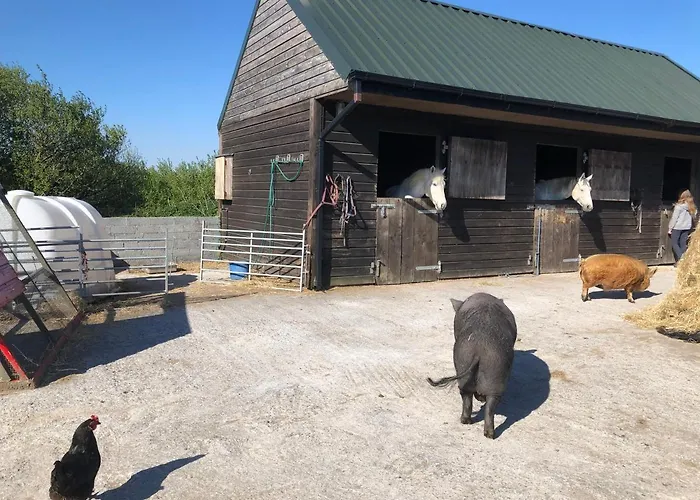 Farm House In Village Connemara