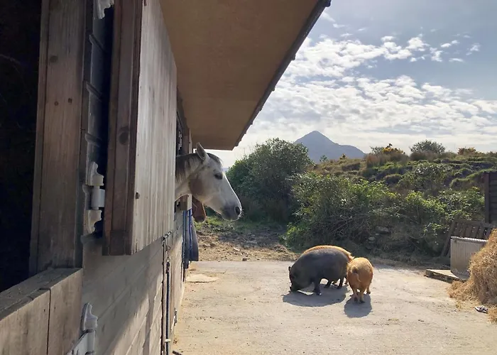 Farm House In Village Connemara Дом отдыха