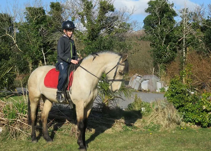 Farm House In Village Connemara *