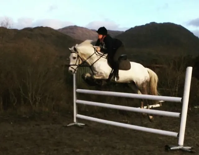 Farm House In Village Connemara Леттерфрак